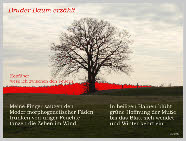 03_Bruder Baum erzählt_2r.jpg
