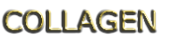 COLLAGEN